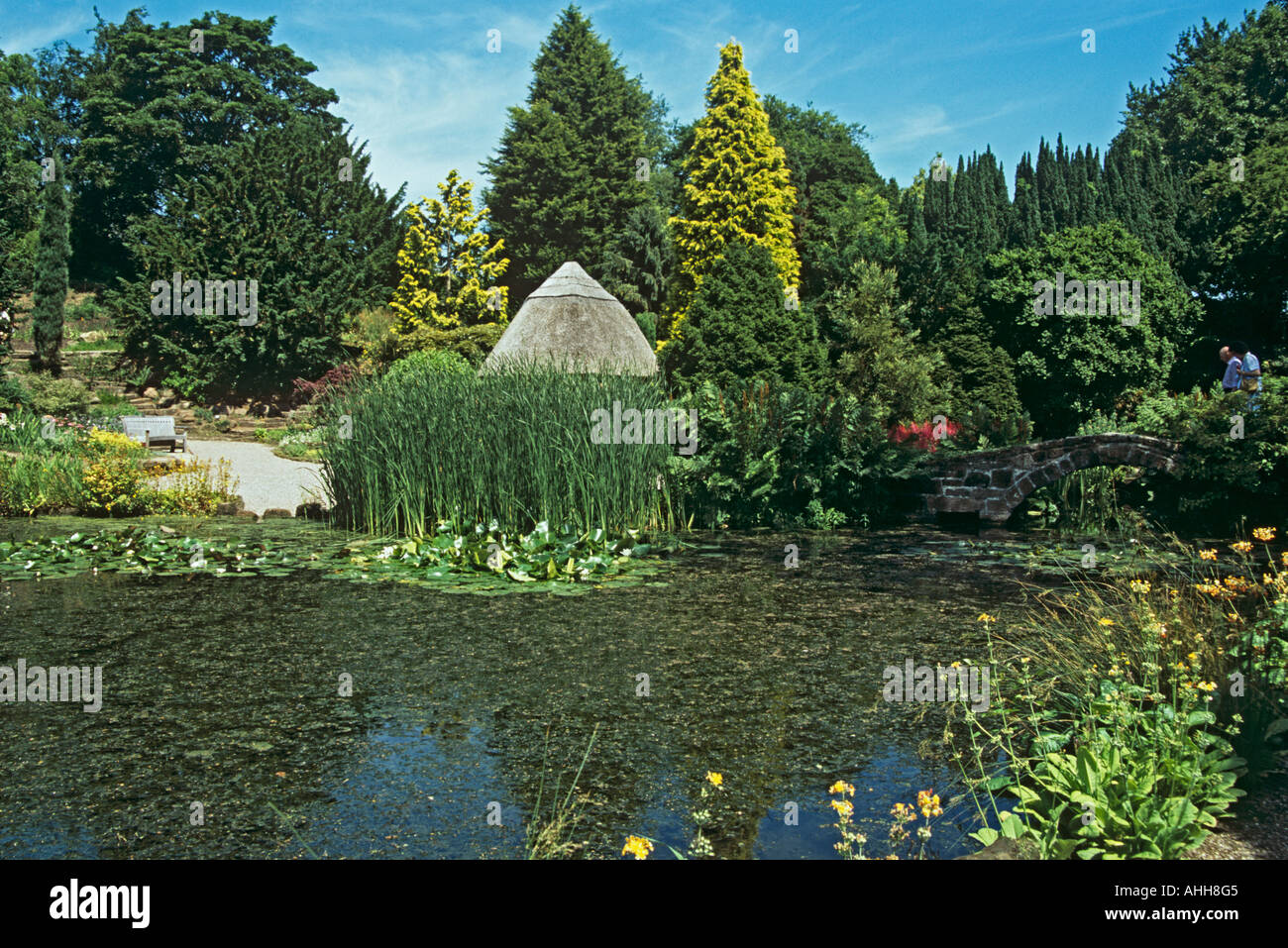 NESS GARDENS NESTON CHESHIRE REGNO UNITO Luglio l'acqua area giardino dei Giardini Botanici Foto Stock