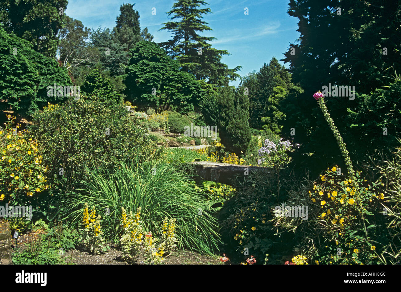NESS GARDENS NESTON CHESHIRE REGNO UNITO Luglio l'acqua area giardino dei Giardini Botanici Foto Stock