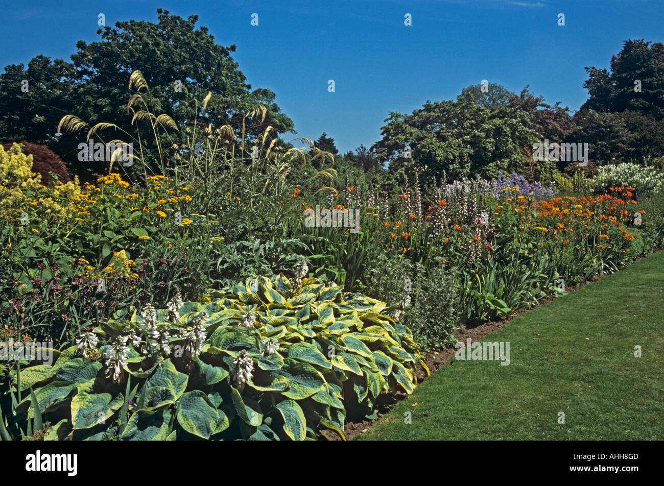 NESS GARDENS NESTON CHESHIRE REGNO UNITO Luglio il confine erbacee dei Giardini Botanici Foto Stock