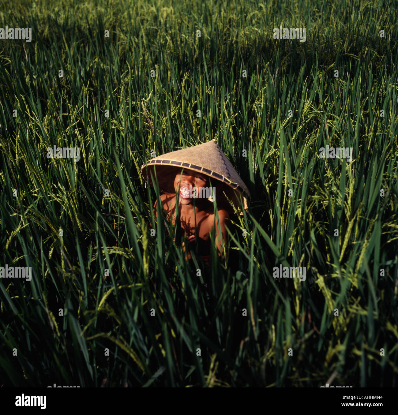 INDONESIA Asia Sudorientale Lombok Kediri sorridente ragazzo che indossa un bambù conica hat seduti in un ricefield vicino Makaram Foto Stock
