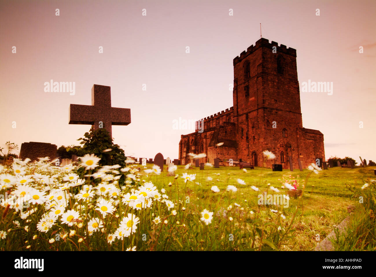 Breedon sulla collina parrocchiale margherite soffia intorno a croce pietra tombale Leicestershire England Regno Unito GB EU Europe Foto Stock