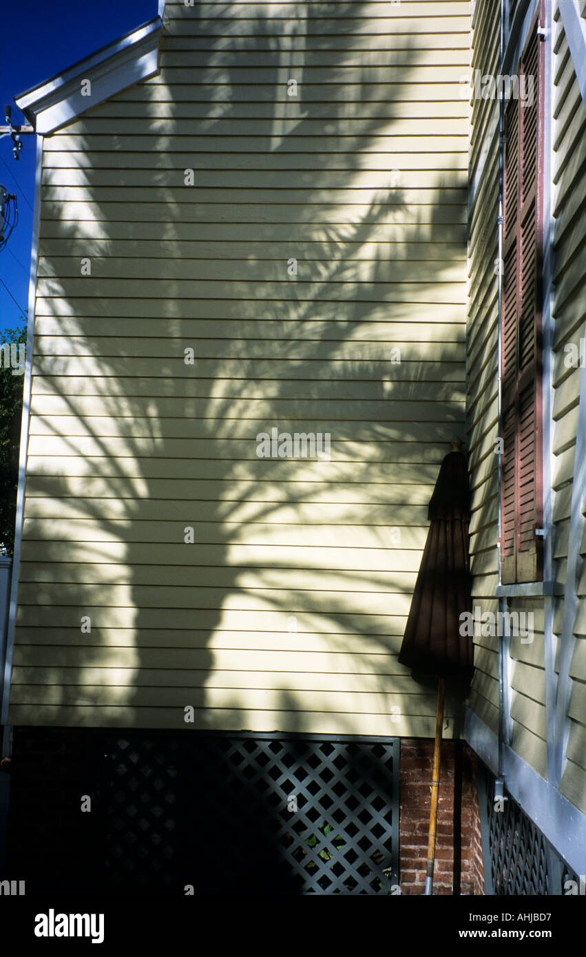 Ombra di palma su giallo pastello, clapboard, parete di legno. Key West, Florida, Stati Uniti. Foto Stock