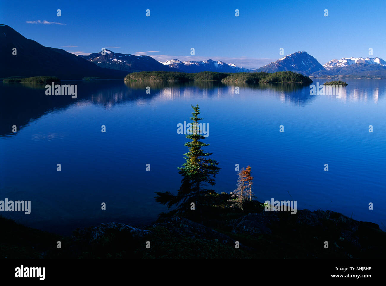 Atlin Lake, Atlin Lake Provincial Park, British Columbia, Canada Foto Stock