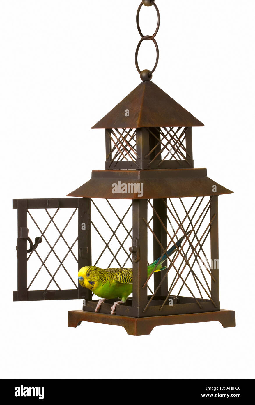 Bird Cage escape Foto Stock