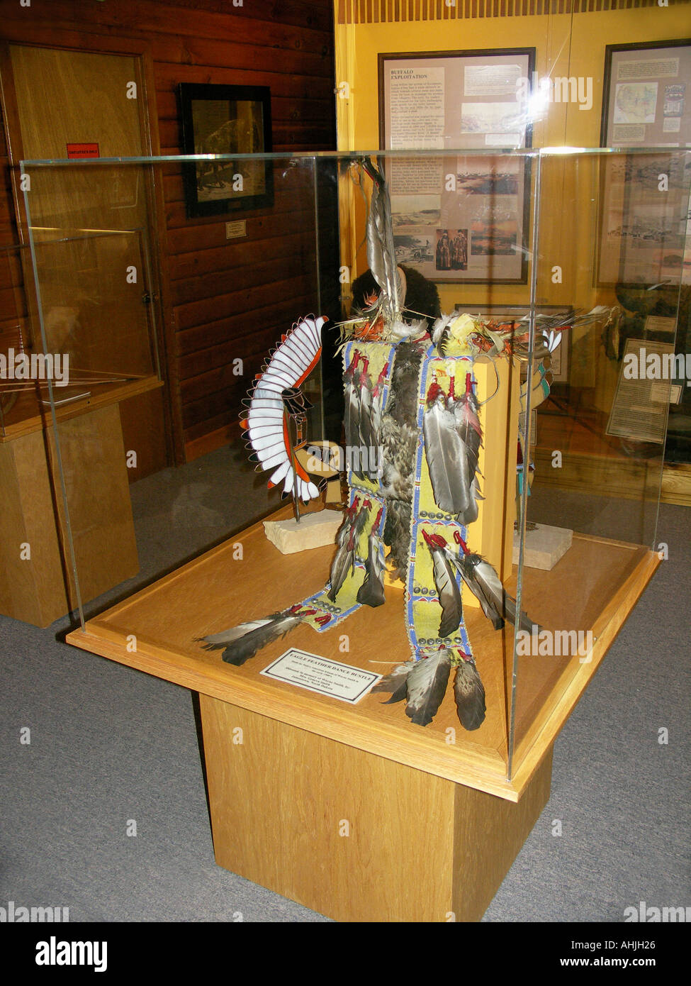 Piume indiane Foto Stock