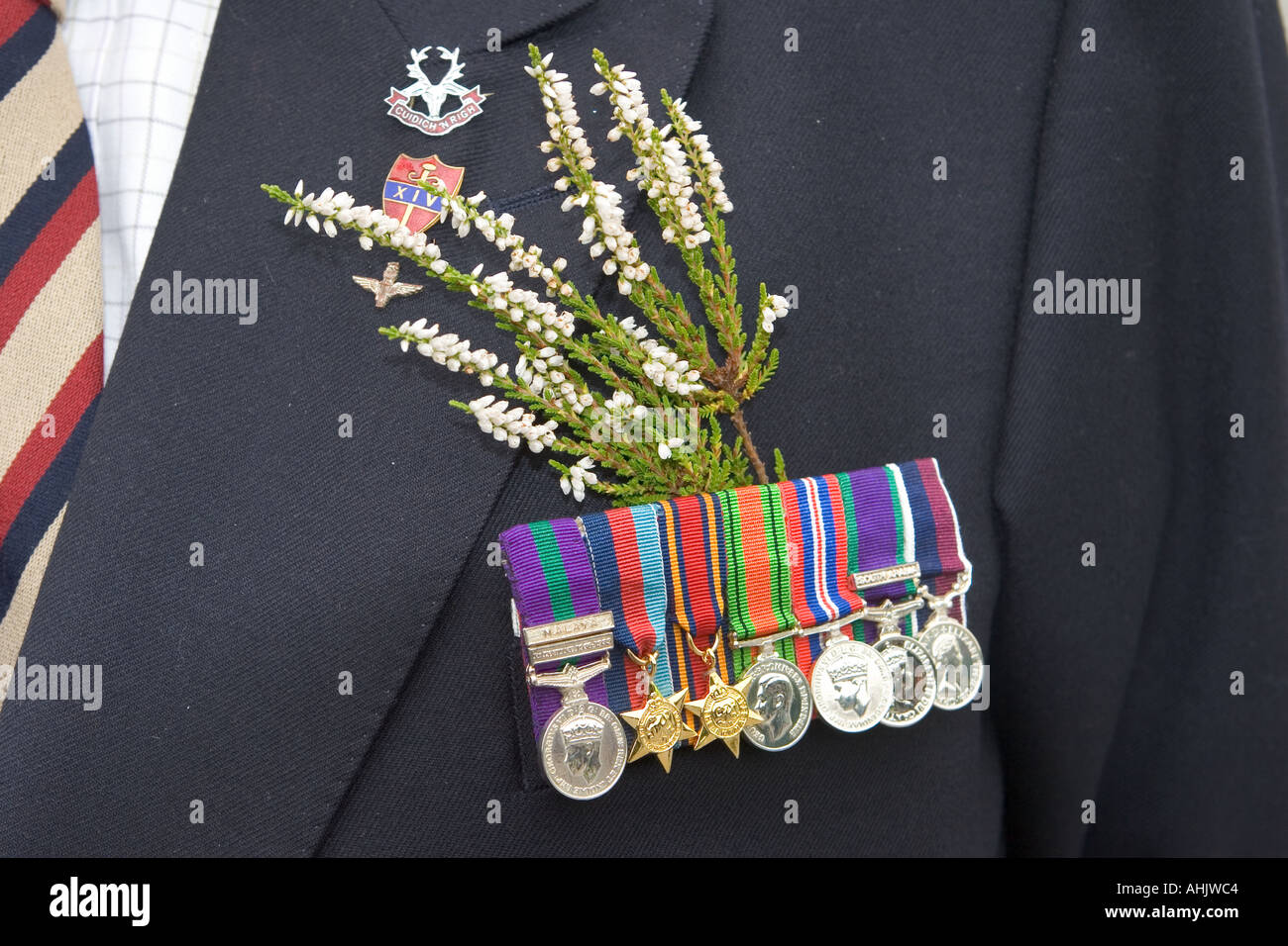 Vecchio soldato che indossa medaglie di guerra e nastri di reggimenti scozzesi durante la seconda guerra mondiale, la seconda guerra mondiale, la seconda guerra mondiale, la seconda guerra mondiale, la seconda guerra mondiale, la seconda guerra mondiale, Gran Bretagna Foto Stock