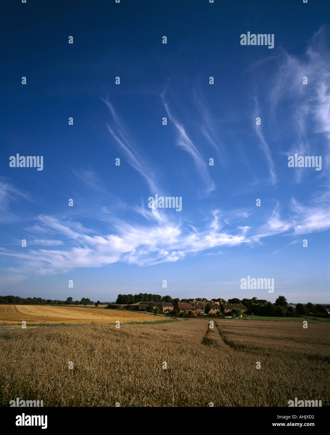 Cielo blu con nuvole cirrus campo di colture in primo piano con il villaggio di tutti Cannings Wiltshire, Inghilterra, nella metà distanza Foto Stock