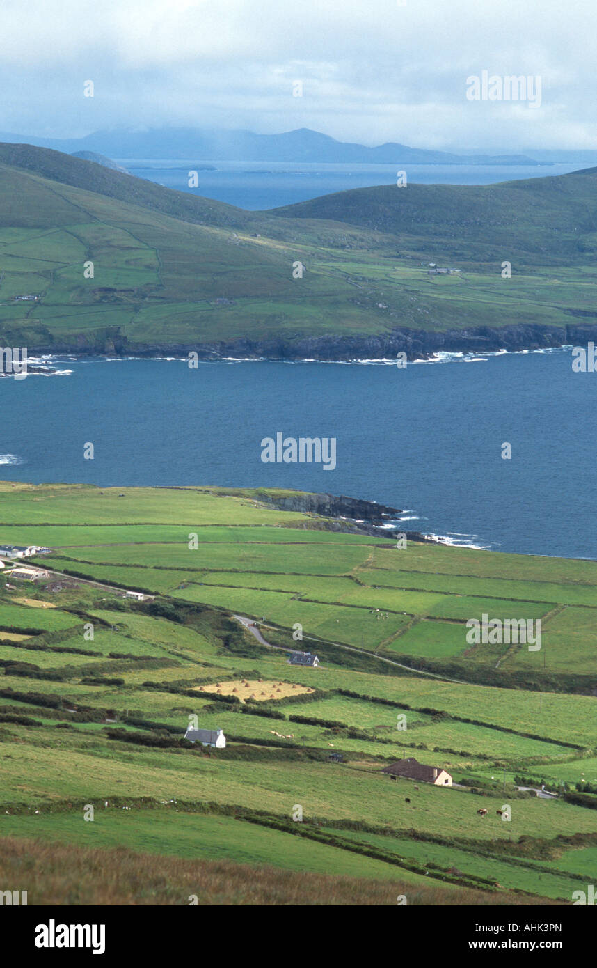 Fattorie e Campi verdi vicino a Waterville County Kerry Irlanda Foto Stock