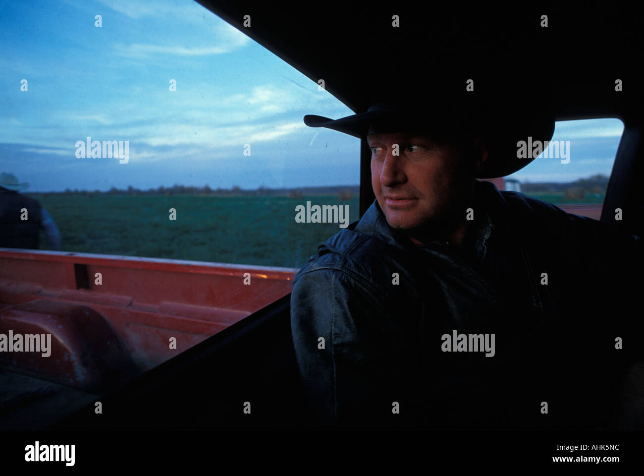 Canada Saskatchewan Sig. Barry boschi durante la caduta del bestiame al roundup Assiniboine bestiame in azienda Marchwell Foto Stock