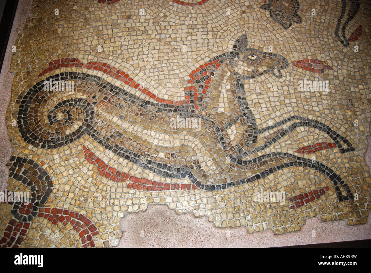 Hippocamp mosaico, Museo delle Terme Romane, bagno, Somerset, Inghilterra, Regno Unito Foto Stock