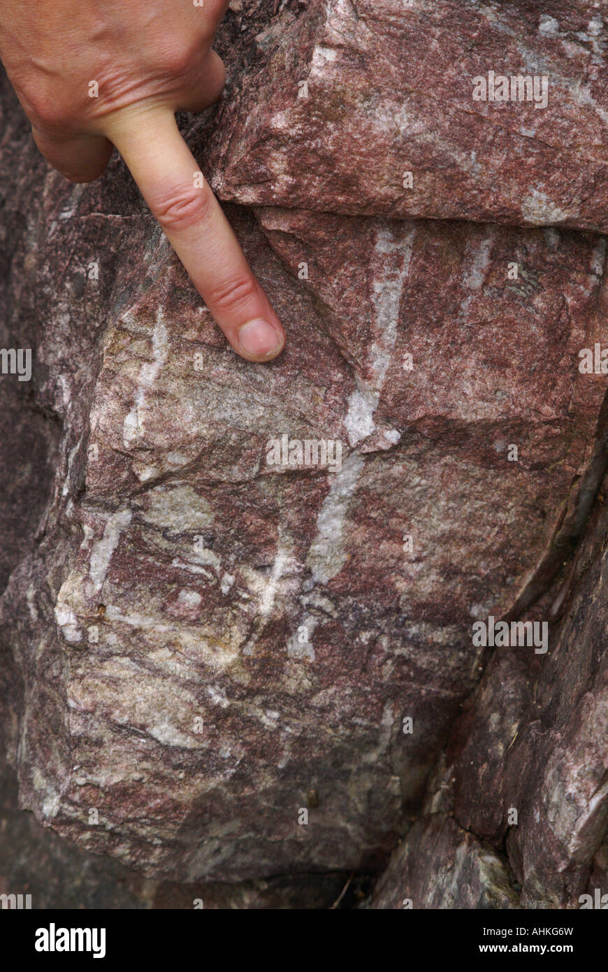 Tubo di quarzite Pietra contenente worm burrow tracce fossili Foto Stock