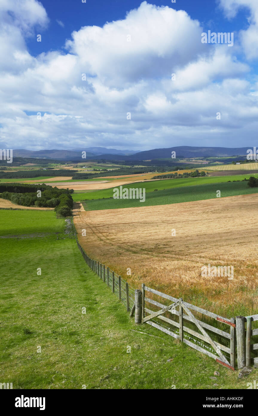 La Queens, Cromar vicino a Aboyne e Ballater, Aberdeenshire, Scozia Foto Stock