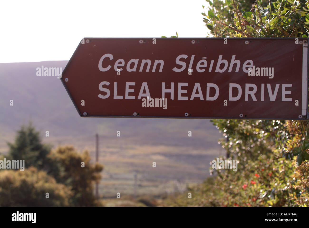 Testa slea segno co kerry Irlanda Foto Stock