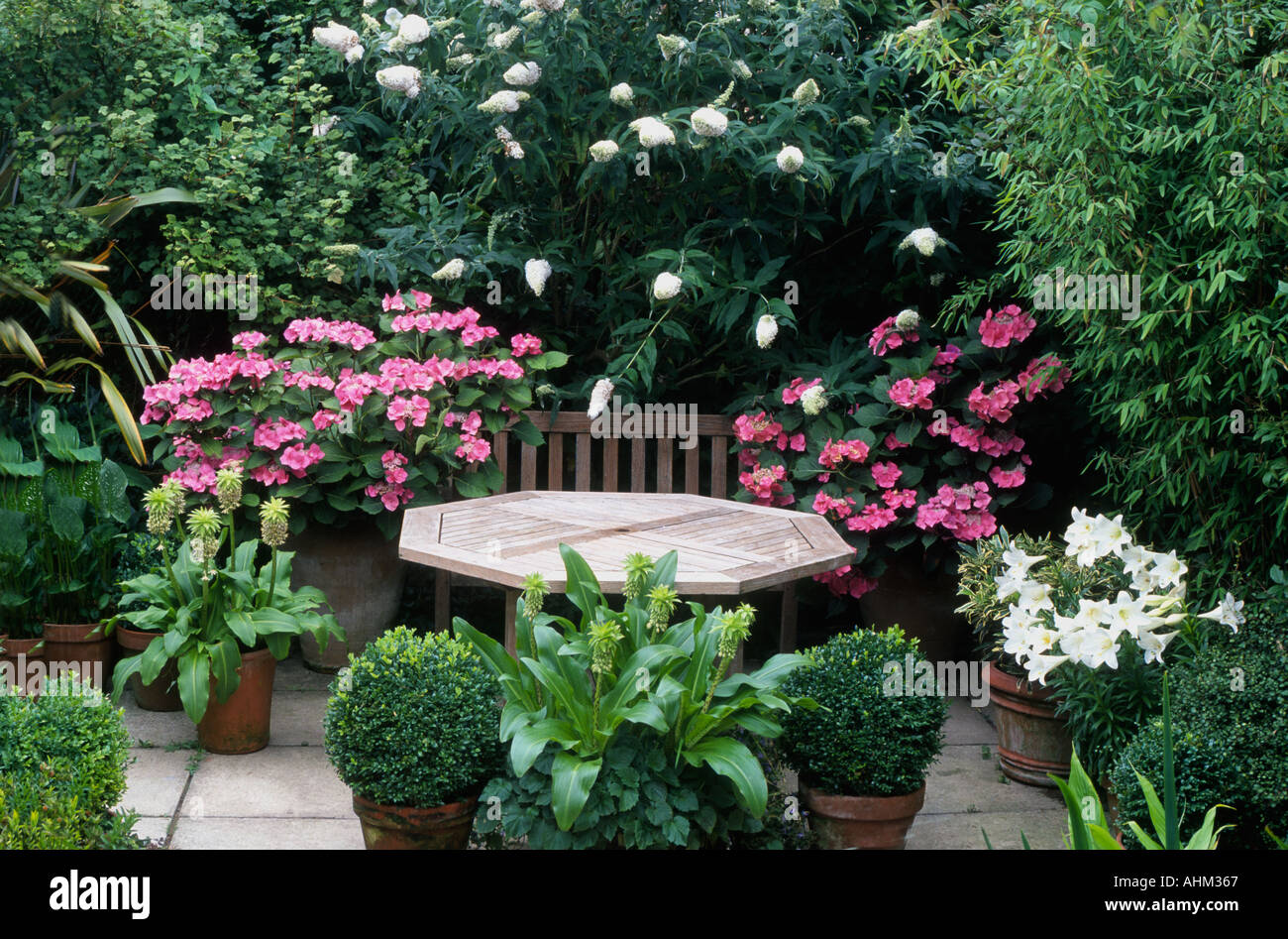 Piccolo patio con mobili da giardino e piante fiori rosa bianca ortensie Buddleia Lily Tabella panchina design di pavimentazione, Buddleja Foto Stock