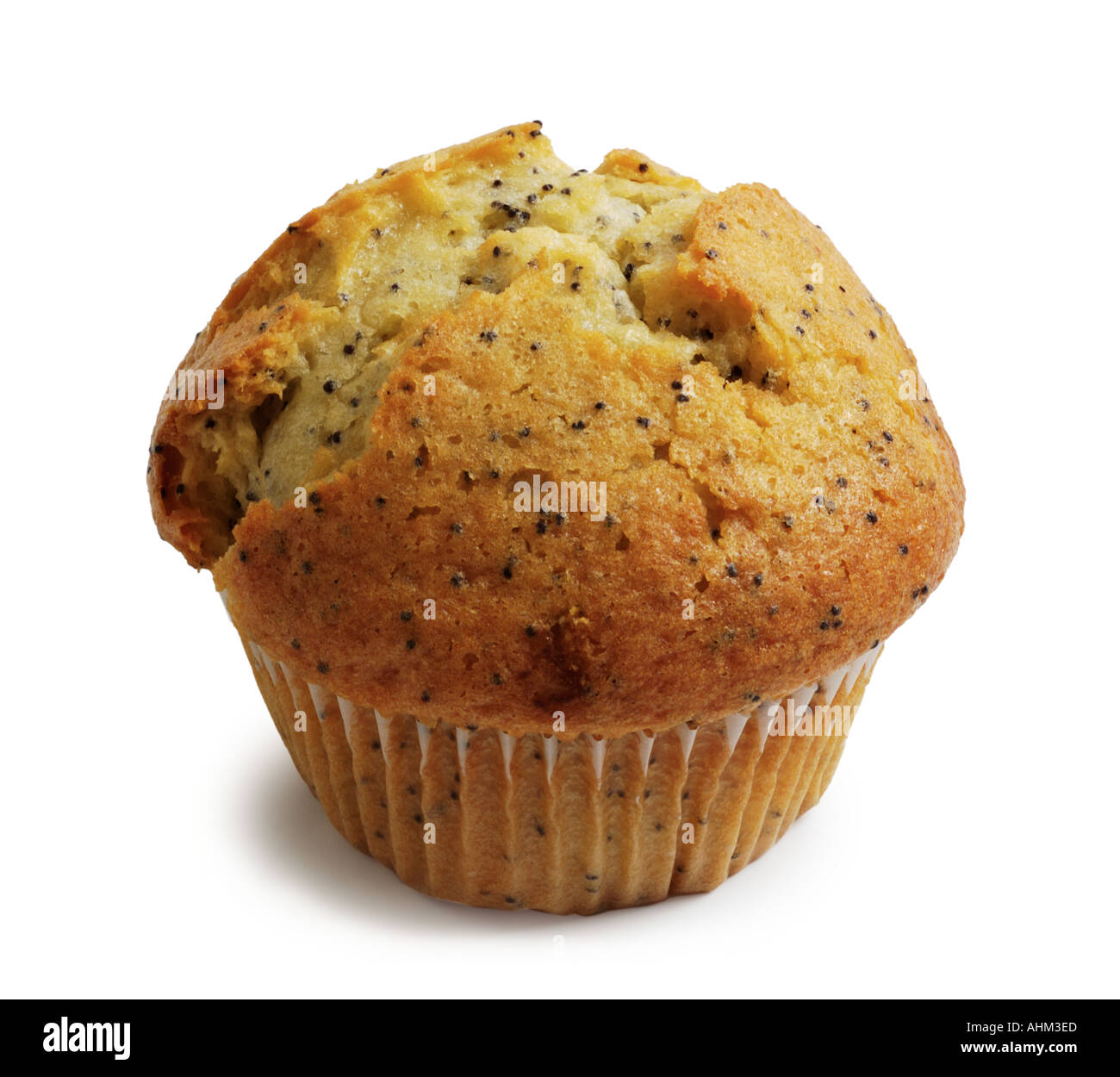 Semi di papavero muffin Foto Stock