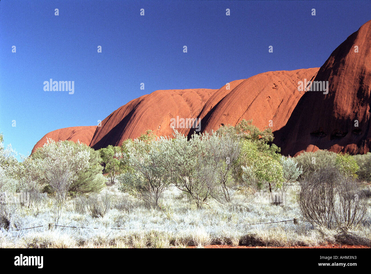 Uluru Ayers Rock, Red Centre, l'Outback australiano, il Kata Tjuta National Park, Rosso, Blu, Verde, albero, montagna, natura Foto Stock
