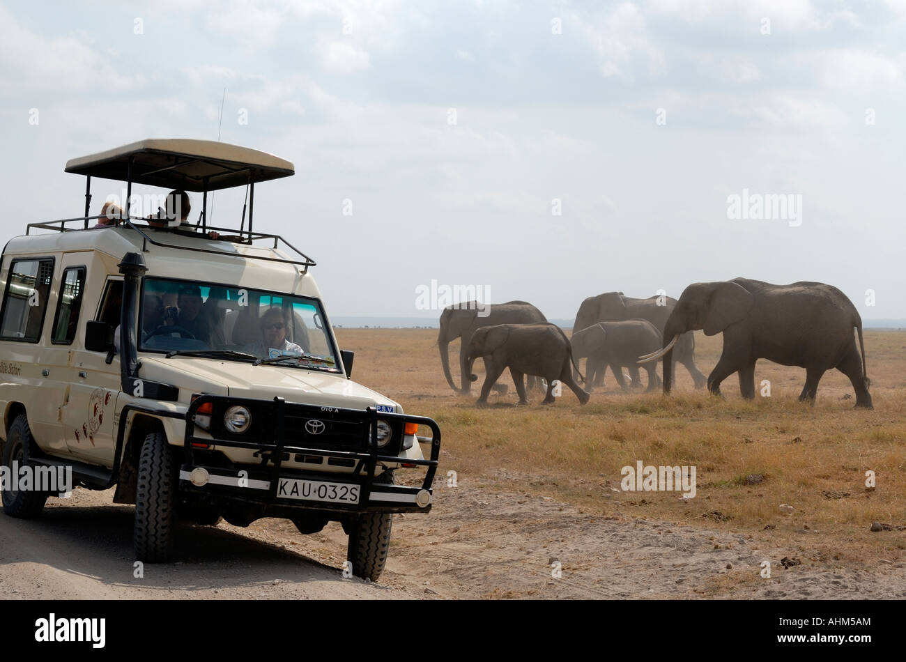 Toyota Landcruiser vicino al gruppo di famiglia di elefanti e di vitelli del Parco Nazionale Amboseli Kenya Africa orientale Foto Stock