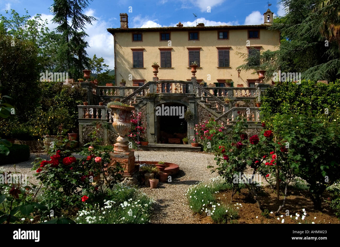 Fattoria Villa Maionchi Maionchi vino di Oliva Olio Oilive Lucca giardino tranquillo tranquillo della pace Foto Stock