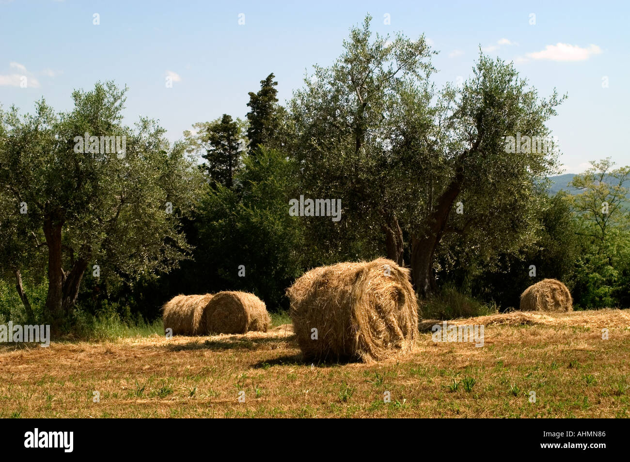 Toscana Italia Agriturismo paese coltivatore di fieno italiano Foto Stock