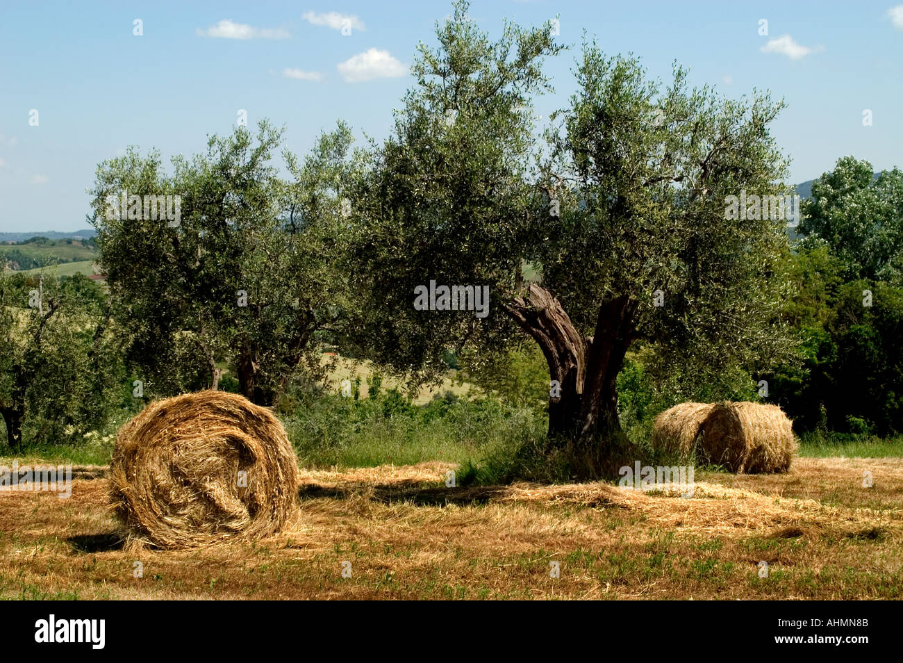Toscana Italia Agriturismo paese contadino paesaggio italiano Foto Stock