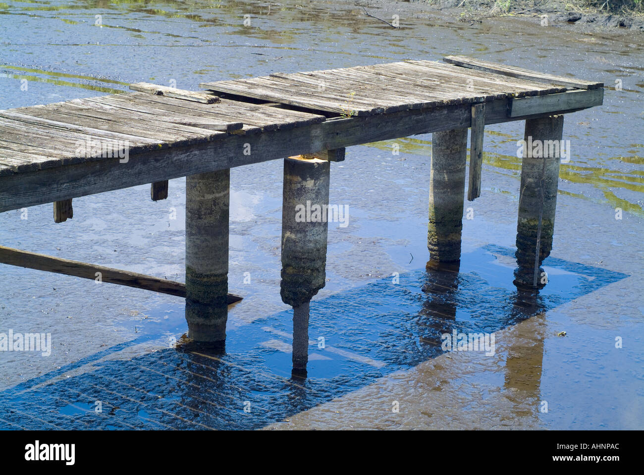 Vecchio dock su acqua fangosa asciugata marcio legno invecchiato mala forma pier decrepet fangose Foto Stock