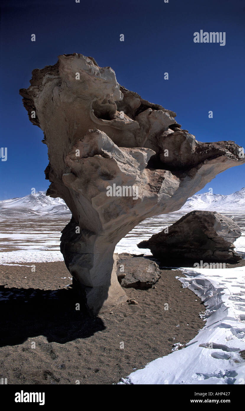 Reserva Nacional Eduardo Avaroa Piedra de Arbol Bolivia Sud America recente nevicata nel deserto Siloli Foto Stock