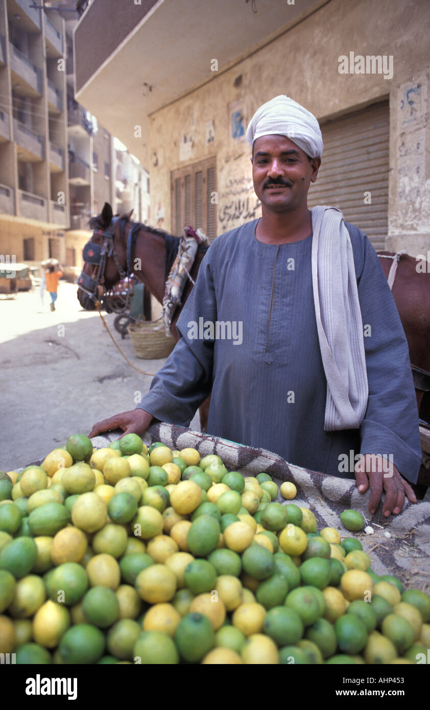 Agrumi produttore presso la sua stalla Luxor s street market Egitto Foto Stock