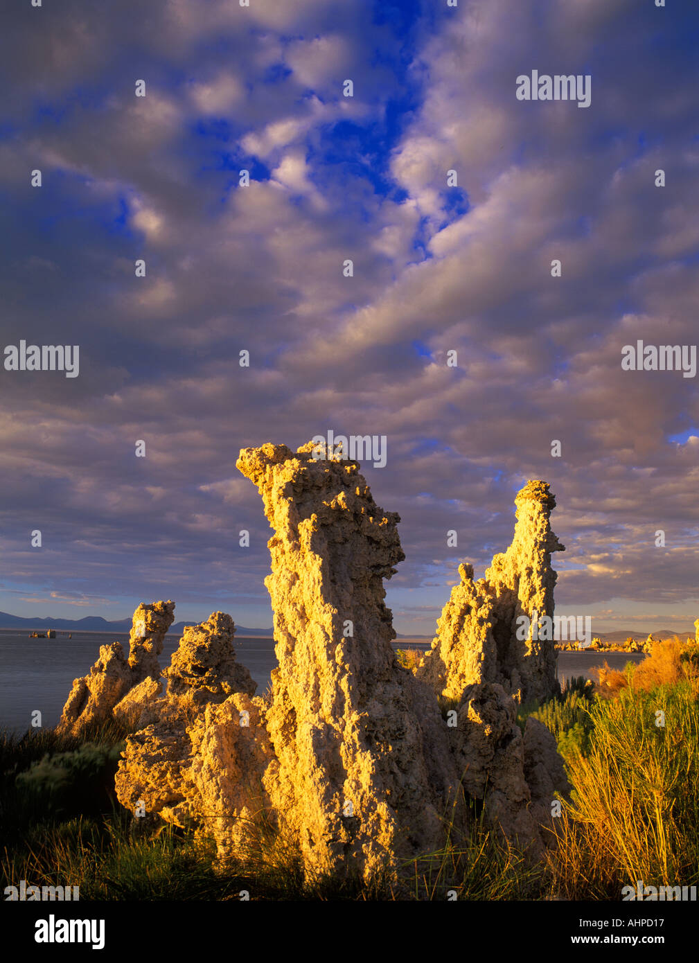 Il tufo fino vicino con illuminazione laterale e si rompono in nuvole Lago Mono in California Foto Stock
