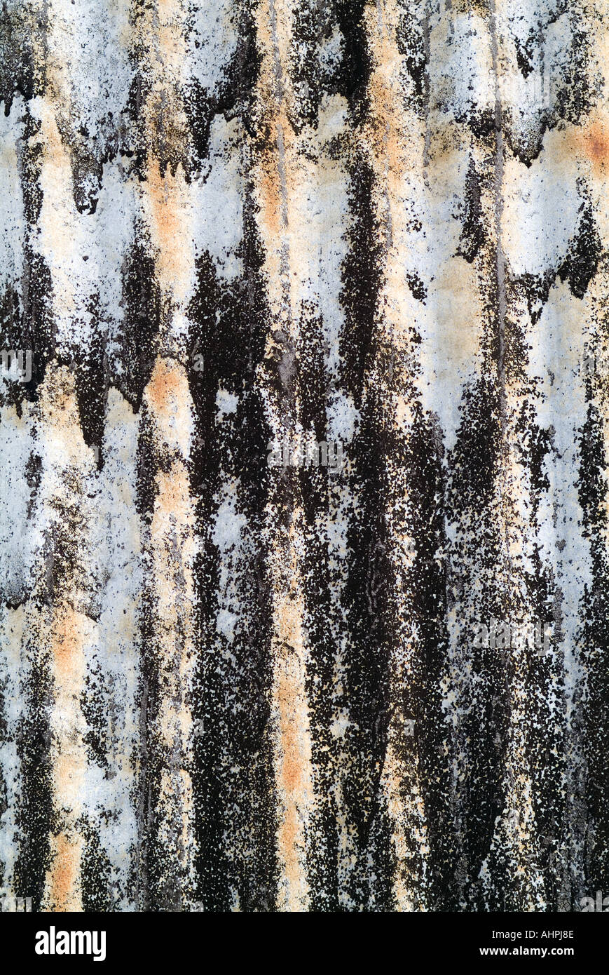 Ferro corrugato abstract Foto Stock