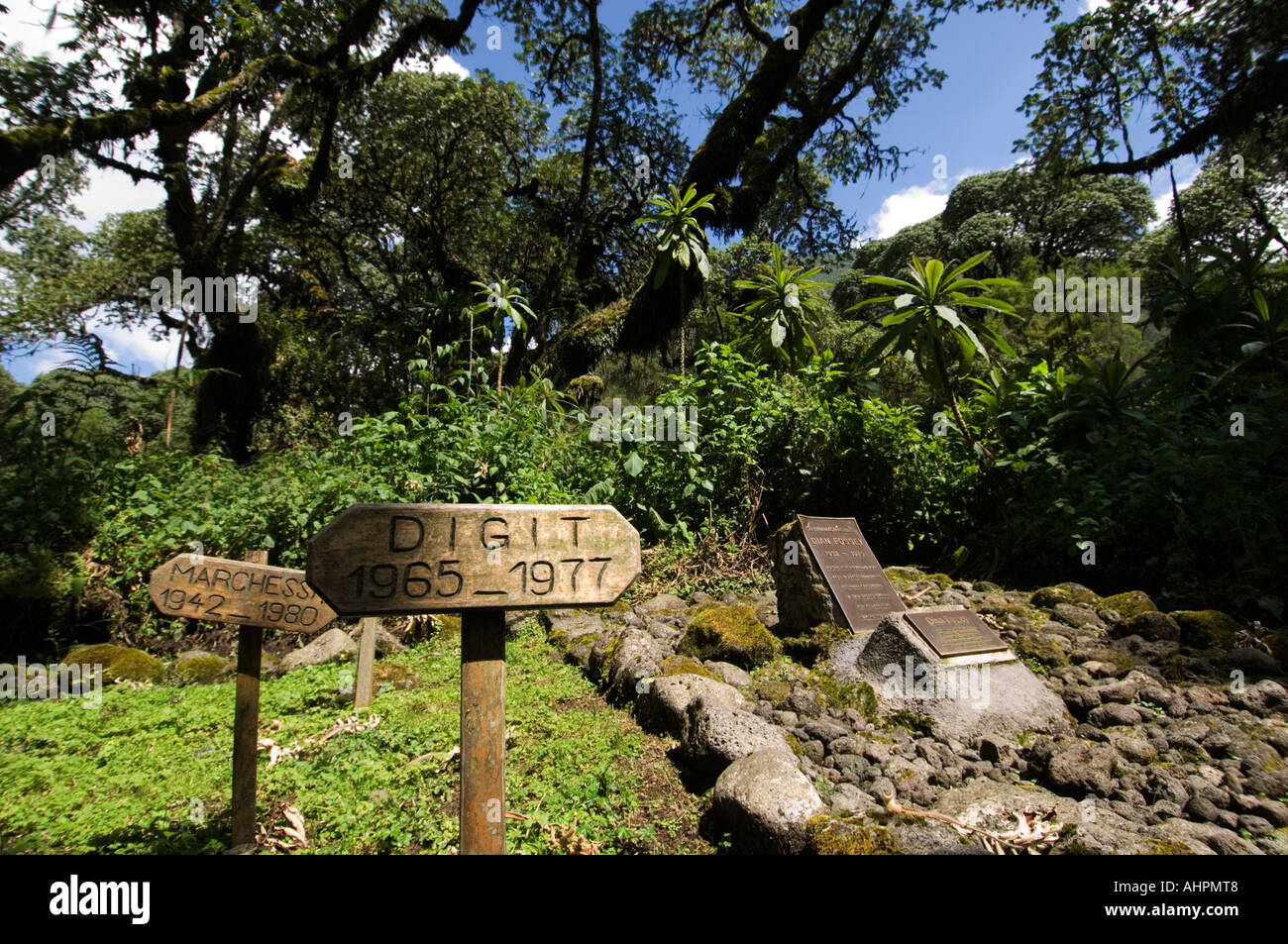 Dian Fossey la sua tomba accanto al cimitero di gorilla a Karisoke Research Center, Parco Nazionale Vulcani, Ruanda Foto Stock