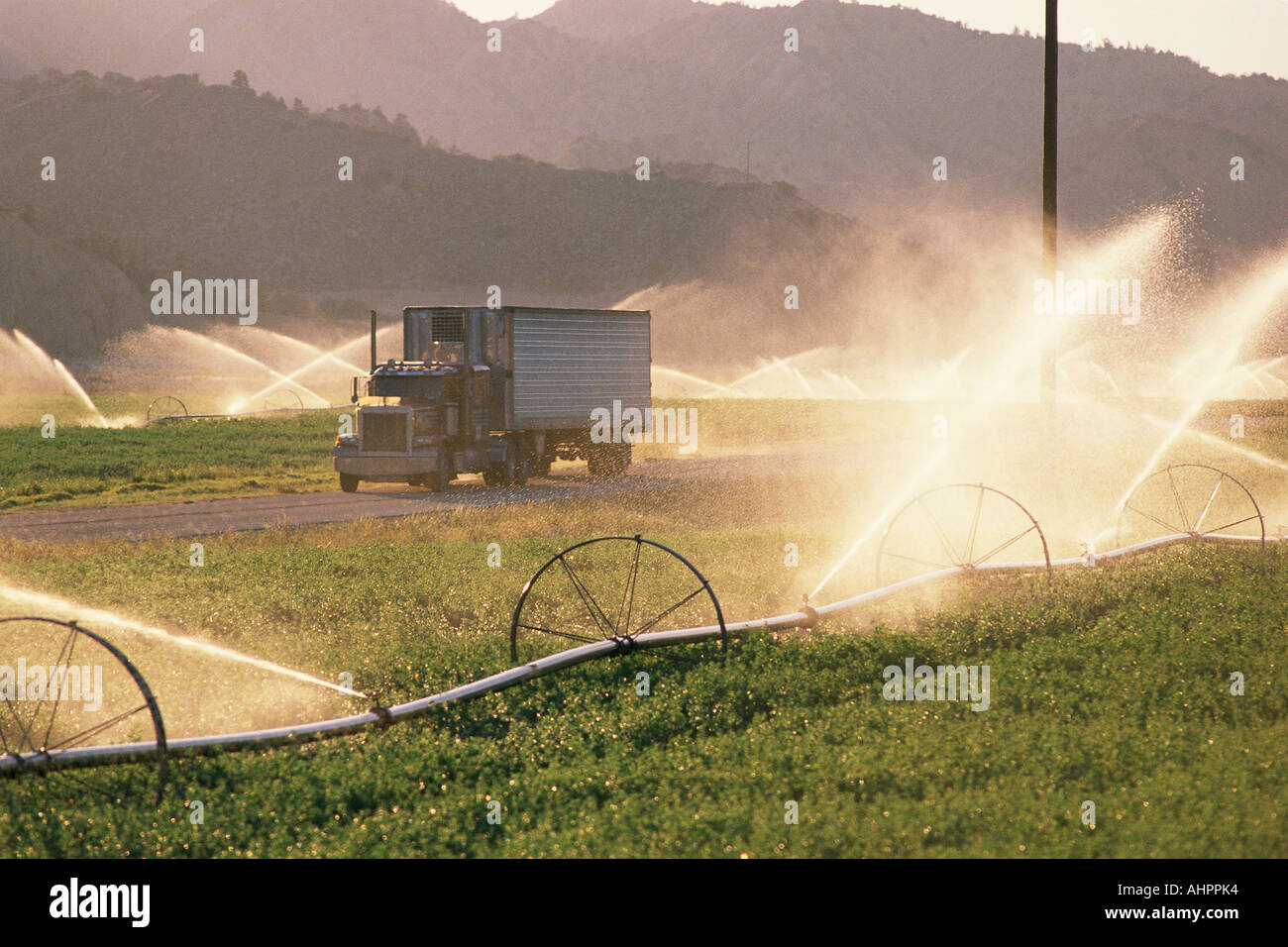 Semi carrello in una fattoria campo che viene irrigata Foto Stock