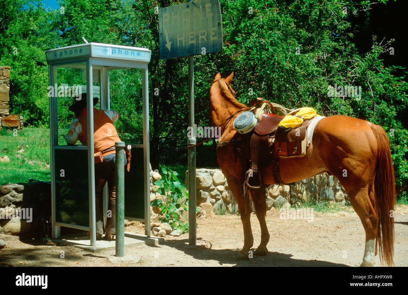 Suburban cowboy utilizzando un telefono a pagamento El Dorado California Foto Stock