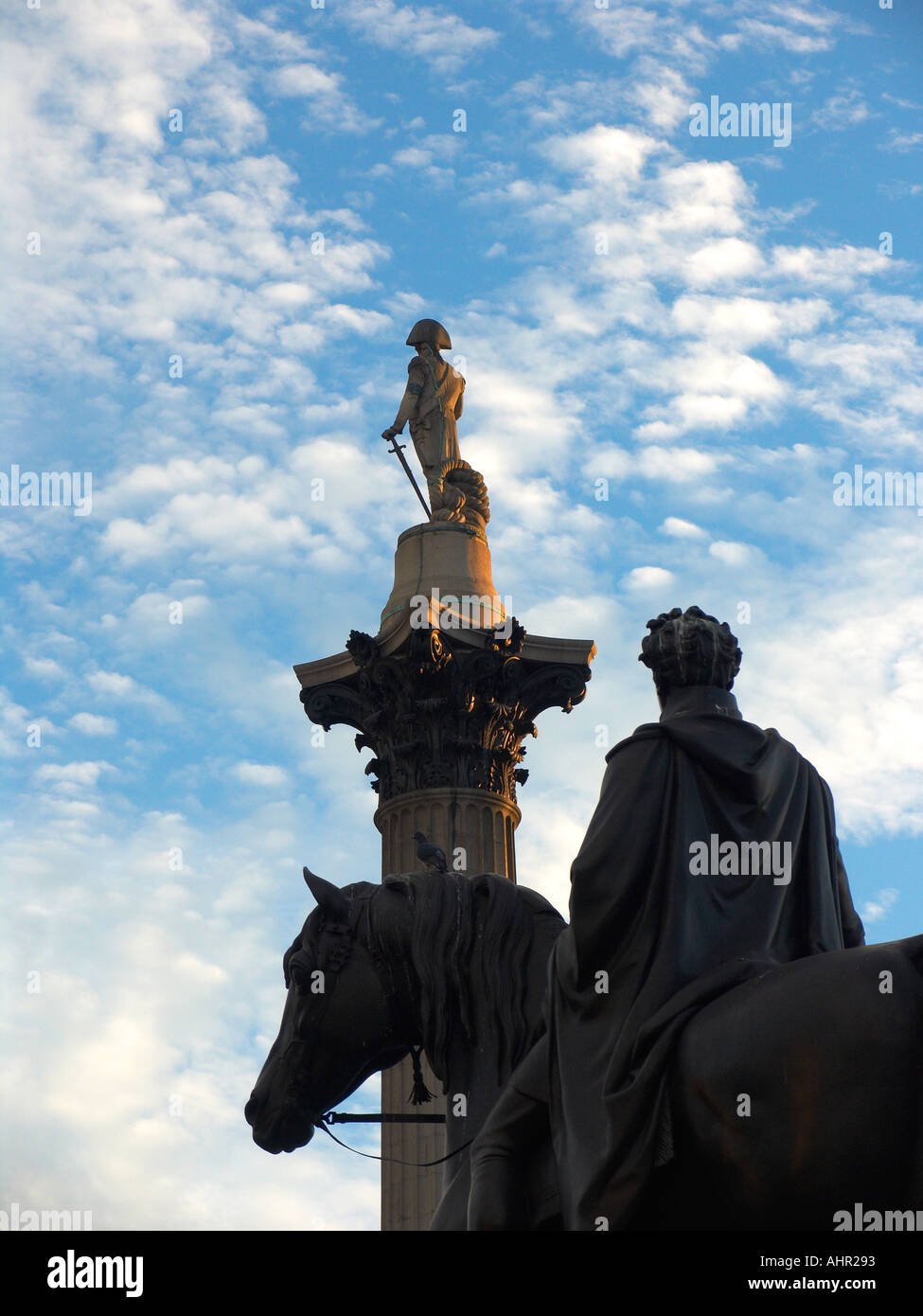 Lord Nelson statua Trafalgar Square Londra Inghilterra REGNO UNITO Foto Stock