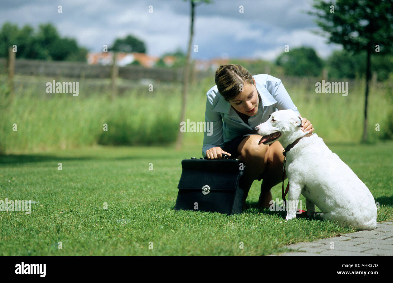 Cane e proprietario sul modo di lavorare Foto Stock