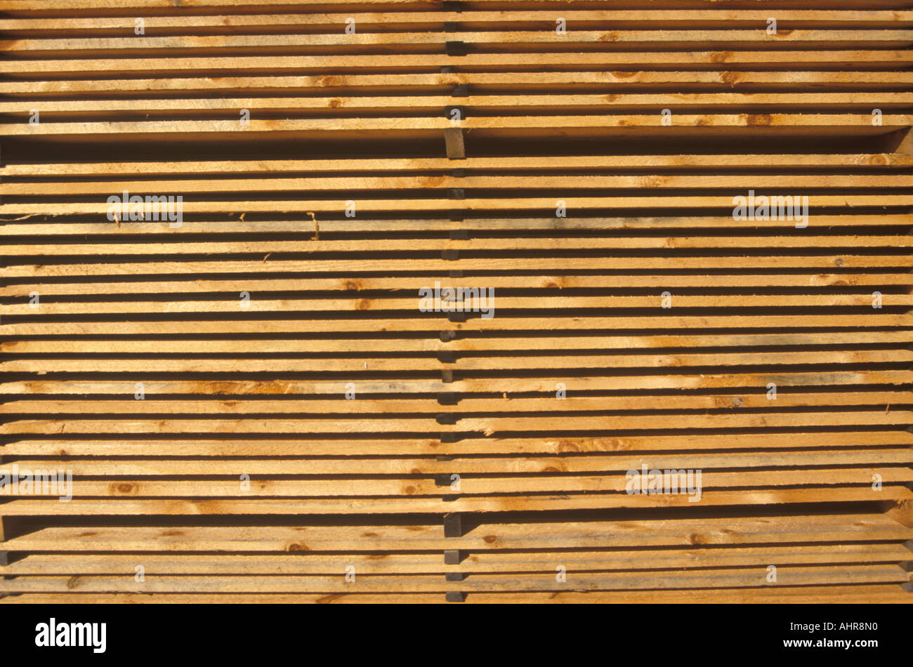 Cataste di legno a Great Barrington Massachusetts deposito di legname Foto Stock