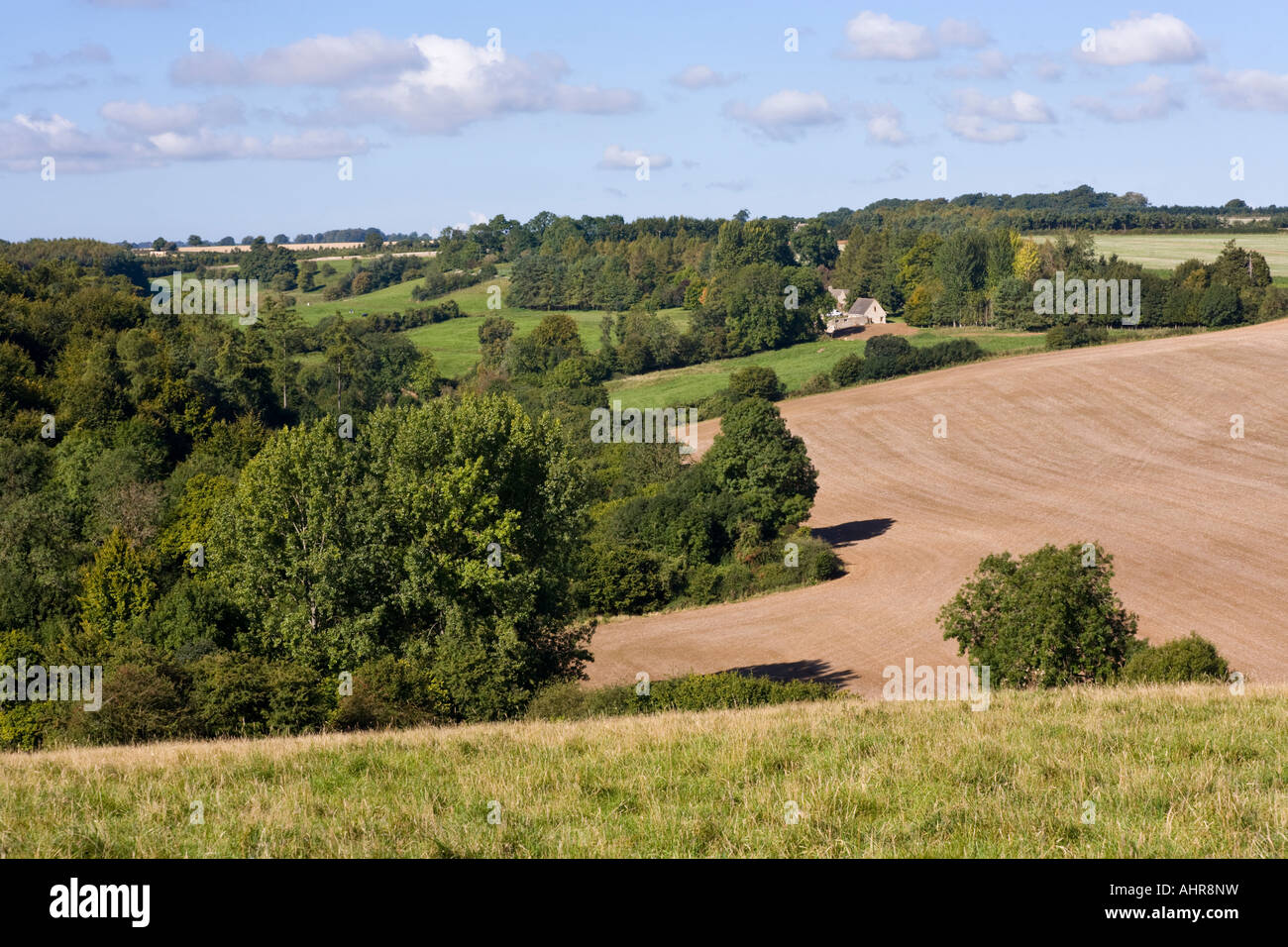 Un paesaggio di Cotswold guardando verso Dartley Farm NW di Bagendon, Gloucestershire Foto Stock