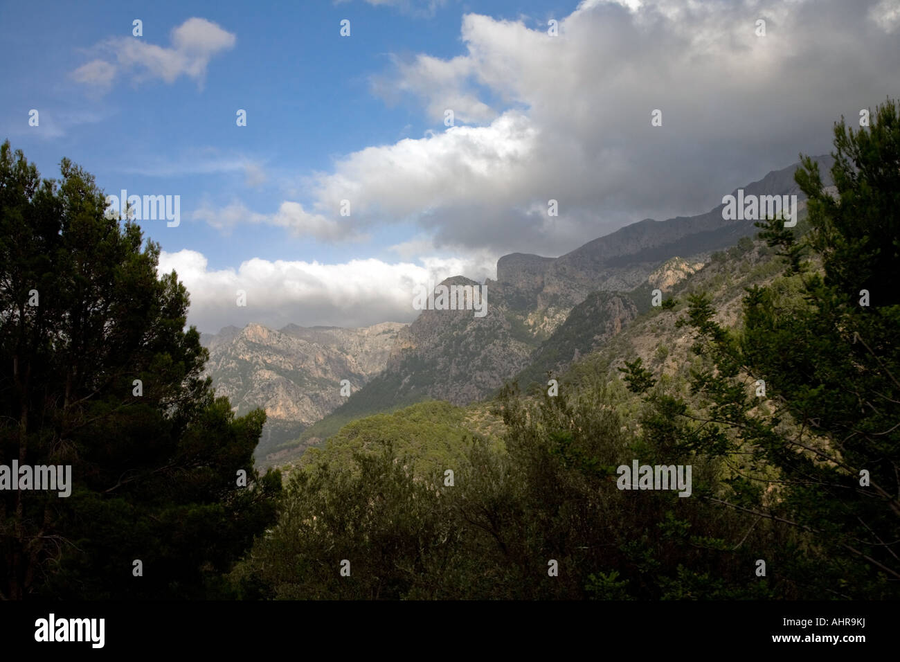 Vista da La Palma a treno Soller Foto Stock