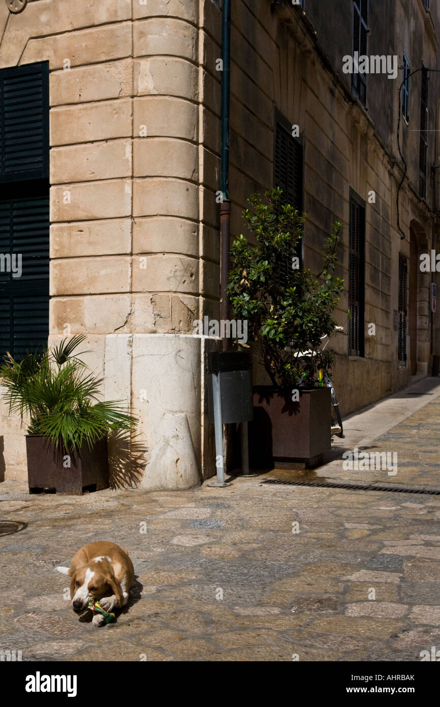 Pollença pollenca città vecchia isola di Spagna Mallorca Foto Stock