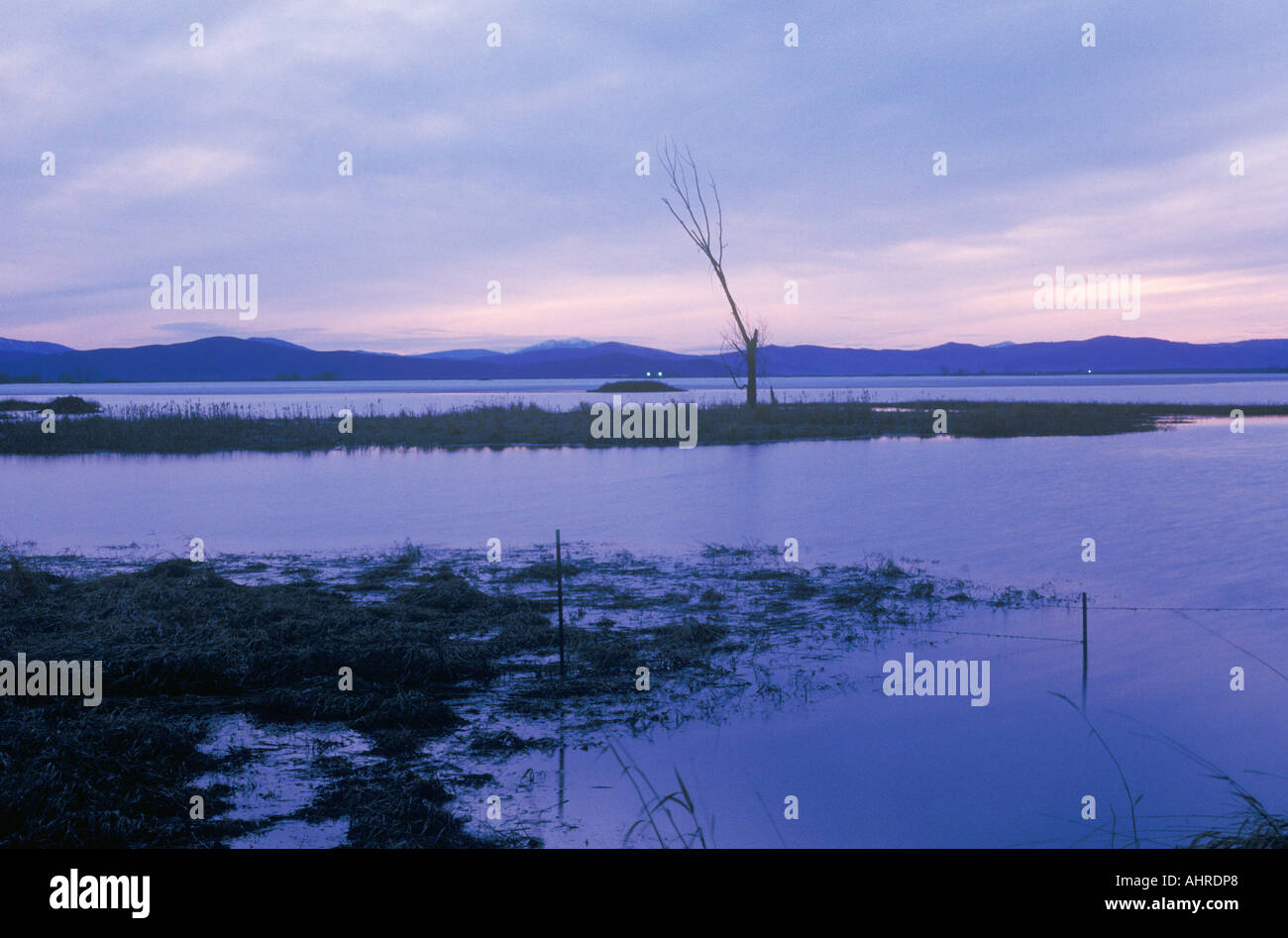 Ninepipe National Wildlife Refuge Montana Foto Stock