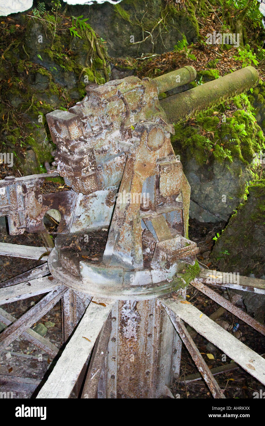 Grotta in base giapponese della Seconda guerra mondiale la guerra di artiglieria reliquia rovine Peleliu Palau Foto Stock