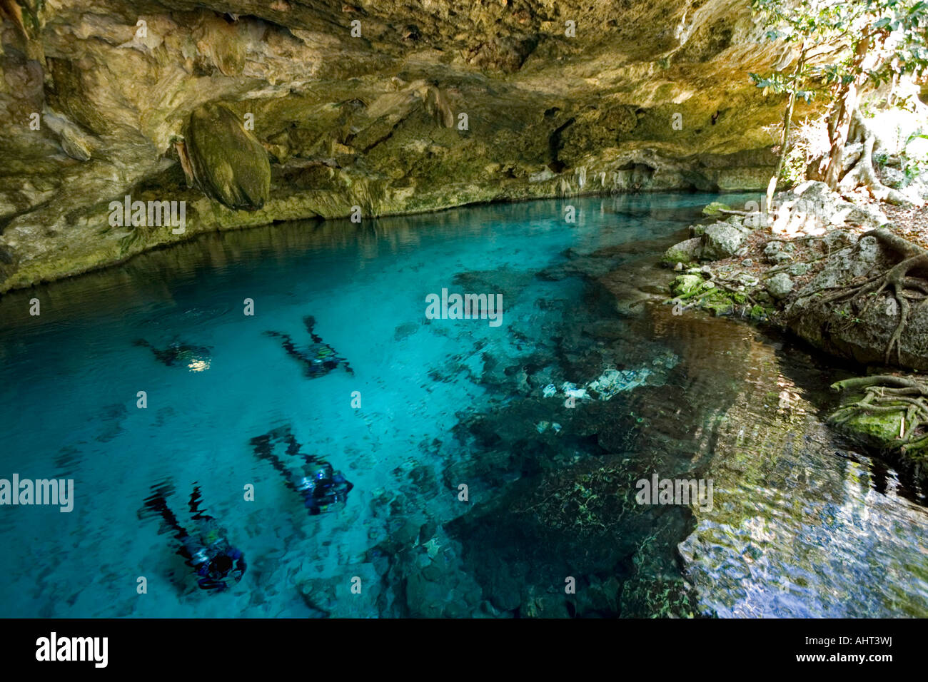 Quattro subacquei tenetevi pronti per esplorare un cenote (Messico). Quatre plongeurs sous marins explorant cénote ONU (Mexique). Foto Stock