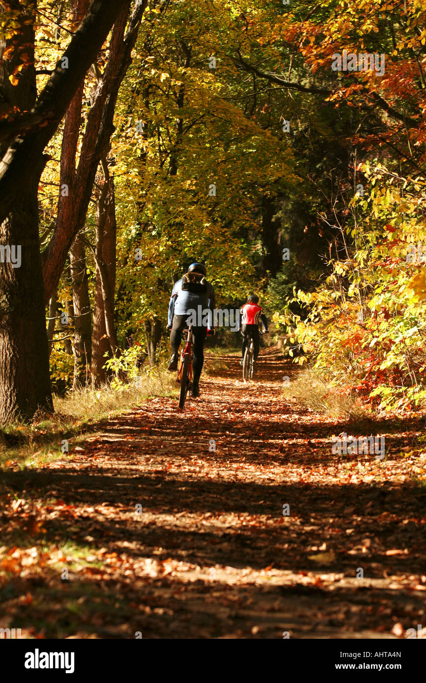 Due ciclisti visto nella foresta, Pruhonice Repubblica Ceca Foto Stock