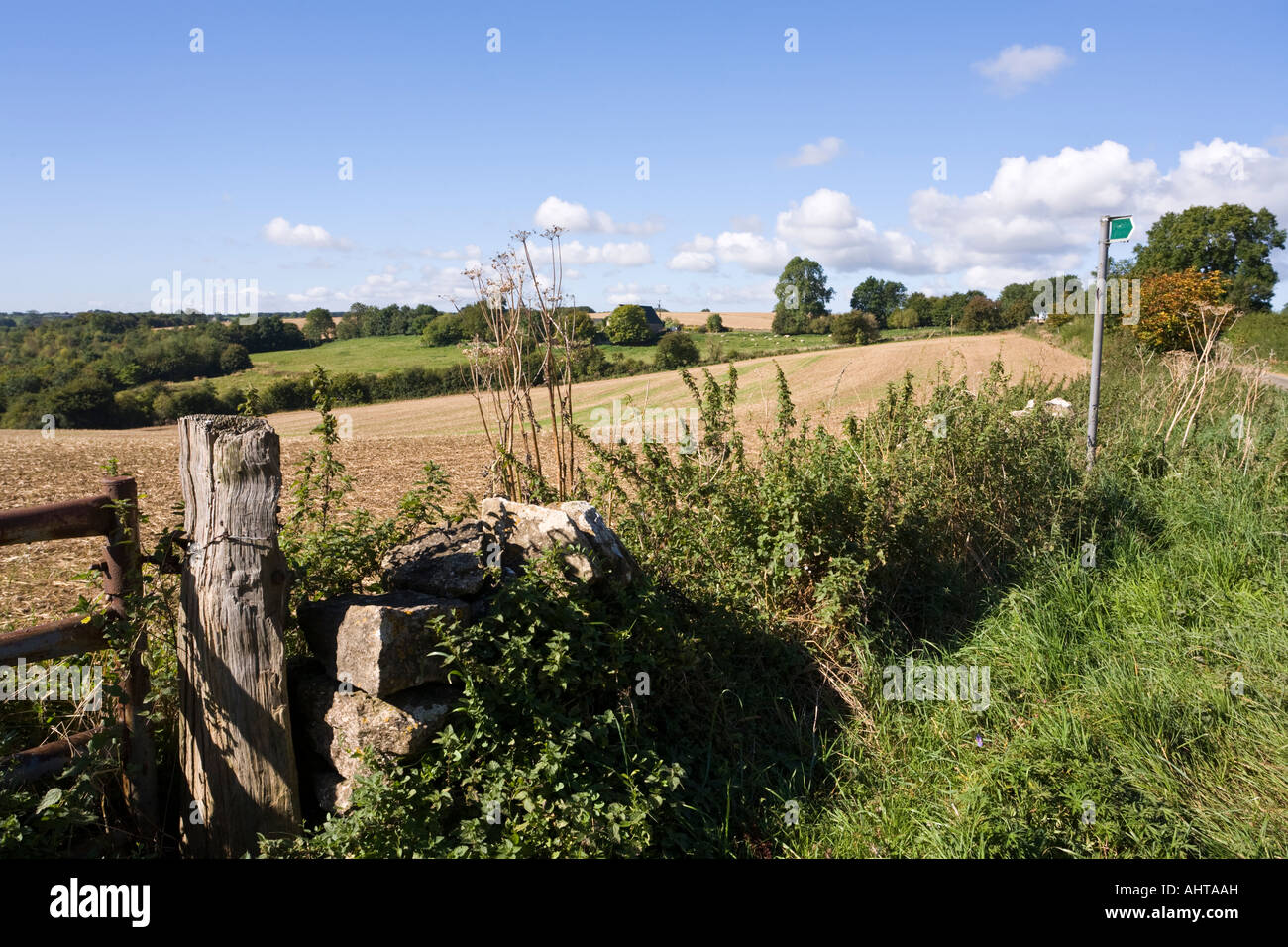 Un paesaggio di Cotswold est di Elkstone, Gloucestershire Foto Stock