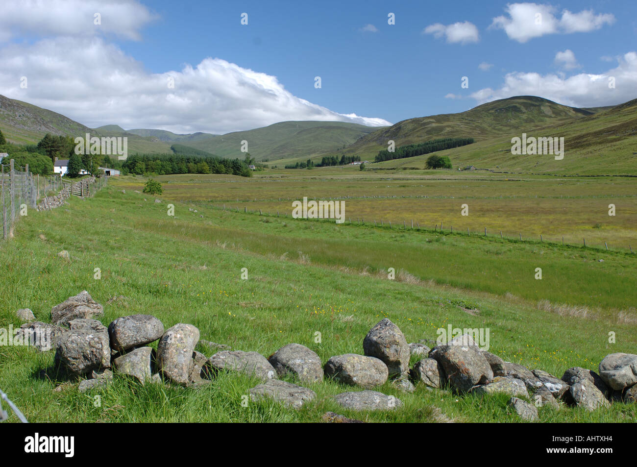 Glen Isla Angus Foto Stock