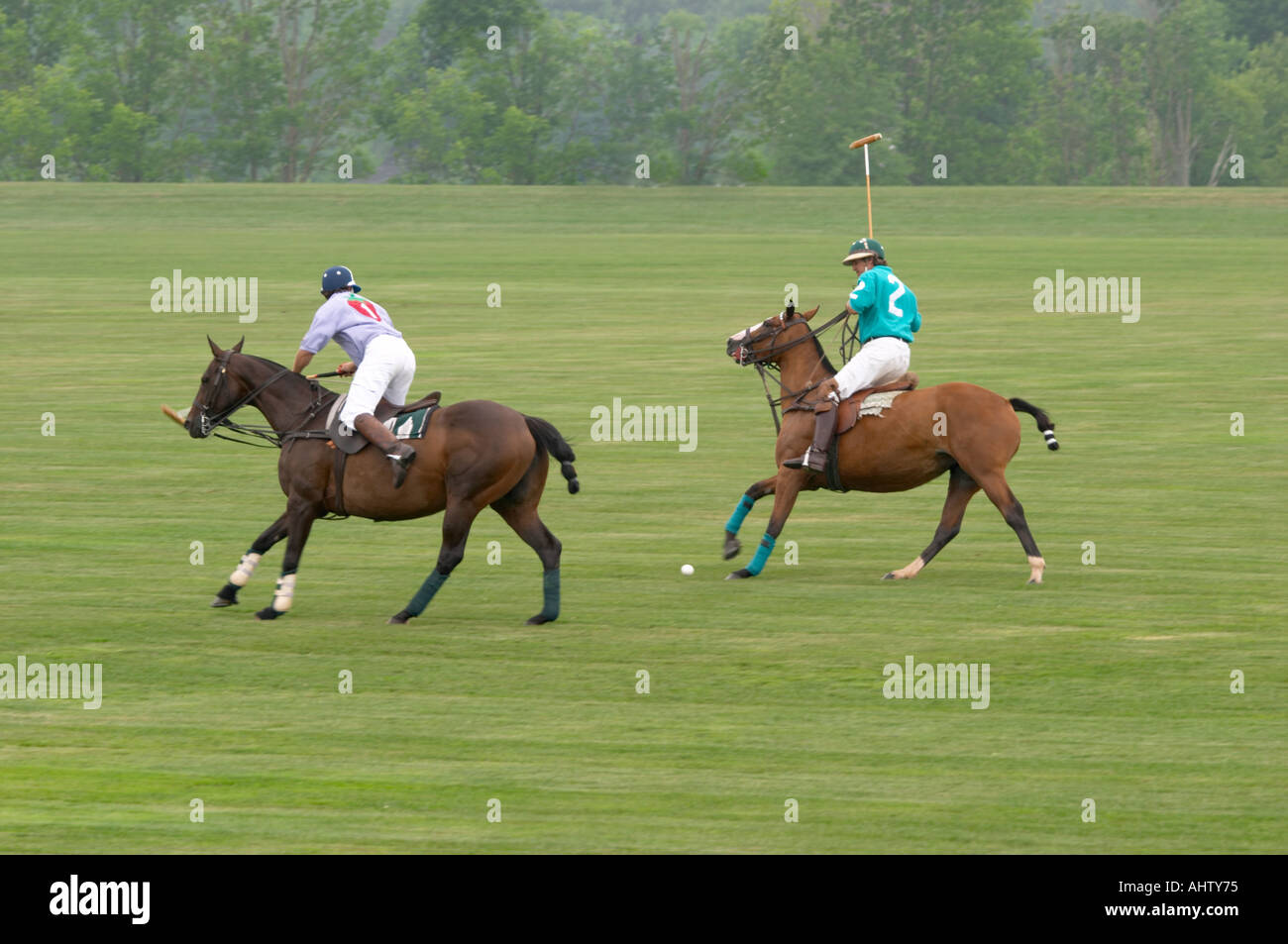 Partita di polo in Western New York Foto Stock