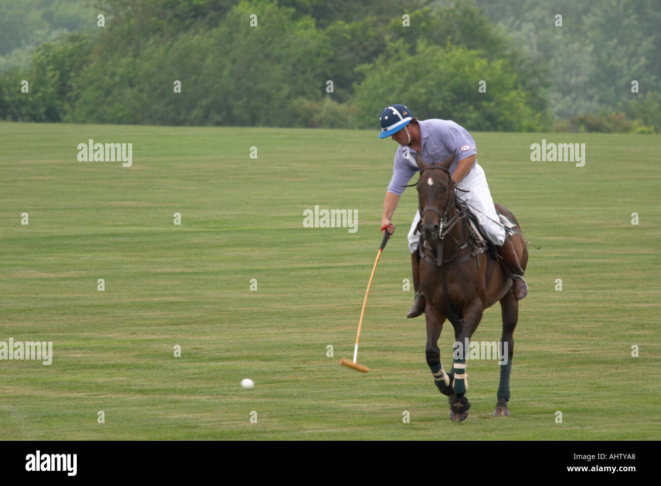 Partita di polo in Western New York Foto Stock