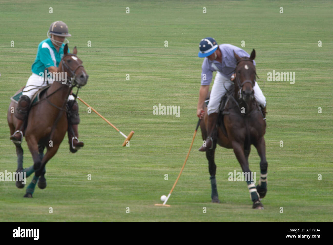 Partita di polo in Western New York Foto Stock