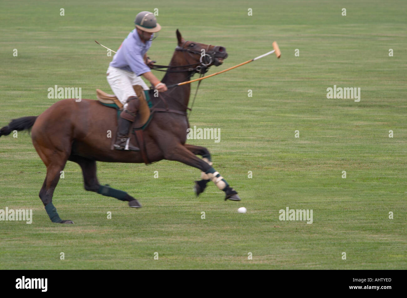 Partita di polo in Western New York Foto Stock