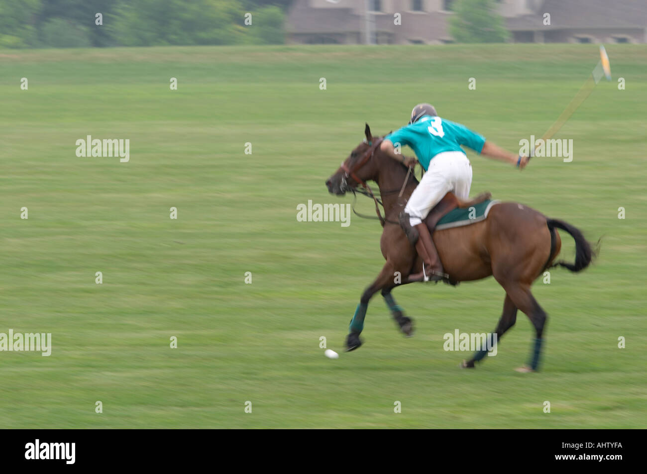 Partita di polo in Western New York Foto Stock