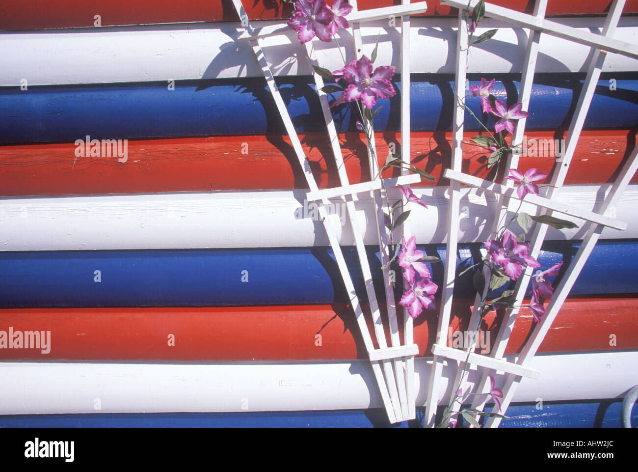 Fiori contro un lato della casa dipinta con i colori della bandiera americana Utah Foto Stock